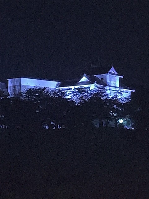 津山城 夜景