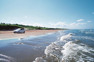 海岸線を車で走行できる海岸