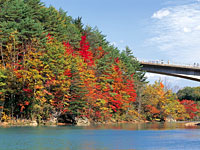 森の大橋と紅葉