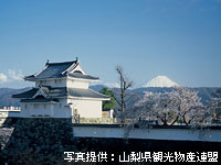 甲府城稲荷櫓と富士山