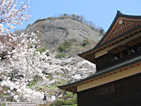 桜と岩殿山