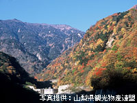 小武川 青木鉱泉周辺