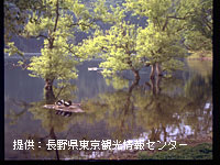 新緑の北竜湖