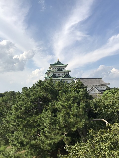 名古屋城天守閣と新緑