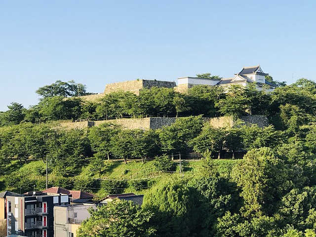 遠目から望む津山城
