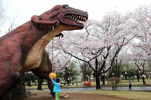 八坂公園の恐竜遊具
