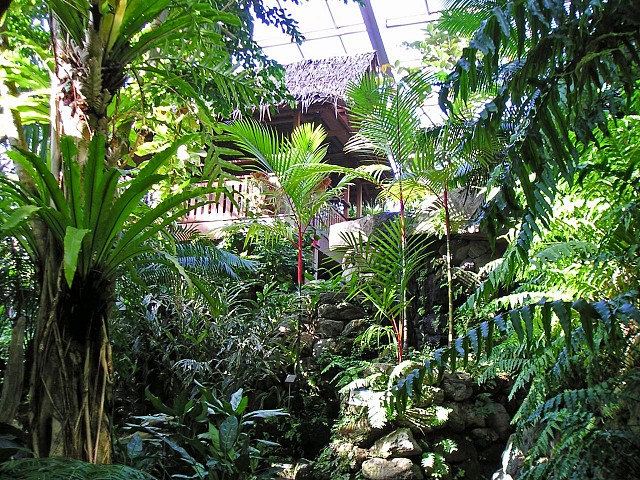 区立熱帯環境植物館 温室