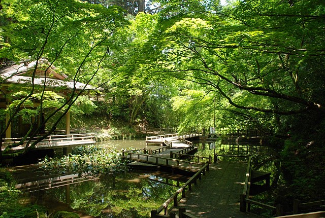 加茂山公園・池の端